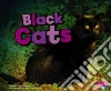 Black Cats Black Cats