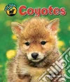 Coyotes Coyotes