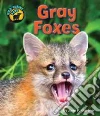 Gray Foxes Gray Foxes