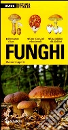 Funghi Funghi