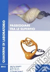 Passeggiare tra le superfici Passeggiare tra le superfici