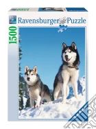Husky sulla neve Husky sulla neve